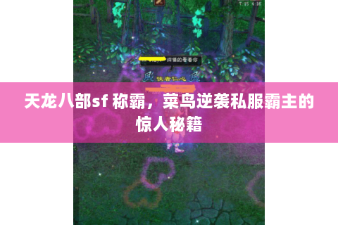 天龙八部sf 称霸,菜鸟逆袭私服霸主的惊人秘籍 天龙八部sf 称霸,菜鸟逆袭私服霸主的惊人秘籍