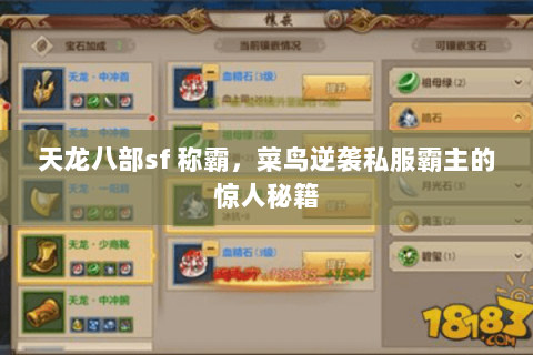 天龙八部sf 称霸,菜鸟逆袭私服霸主的惊人秘籍 天龙八部sf 称霸,菜鸟逆袭私服霸主的惊人秘籍