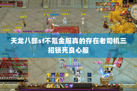 天龙八部sf不氪金服真的存在老司机三招锁死良心服 天龙八部sf不氪金服真的存在老司机三招锁死良心服