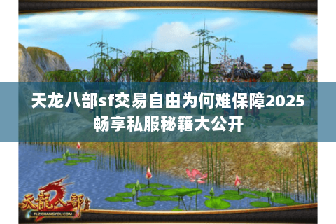 天龙八部sf交易自由为何难保障2025畅享私服秘籍大公开