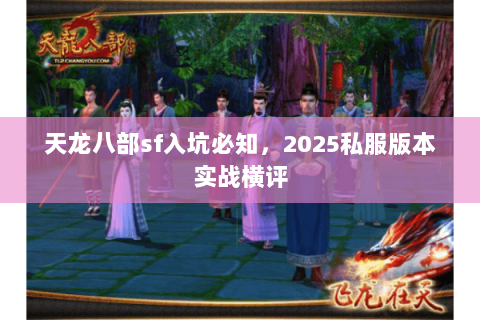 天龙八部sf入坑必知，2025私服版本实战横评