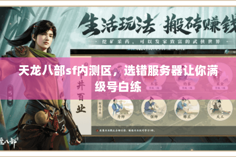 天龙八部sf内测区,选错服务器让你满级号白练 天龙八部sf内测区,选错服务器让你满级号白练