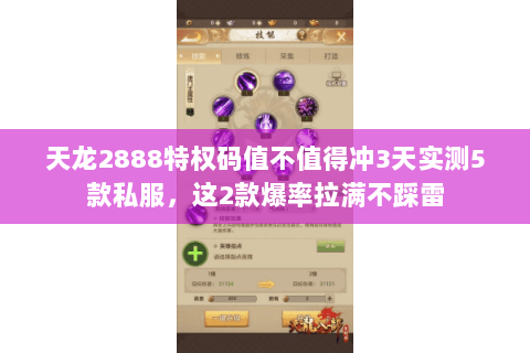 天龙2888特权码值不值得冲3天实测5款私服,这2款爆率拉满不踩雷 天龙2888特权码值不值得冲3天实测5款私服,这2款爆率拉满不踩雷