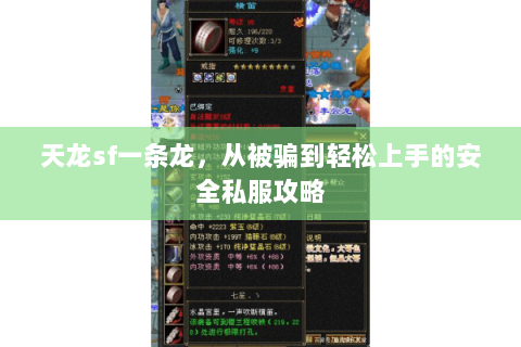 天龙sf一条龙,从被骗到轻松上手的安全私服攻略 天龙sf一条龙,从被骗到轻松上手的安全私服攻略