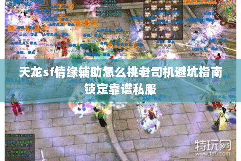 天龙sf情缘辅助怎么挑老司机避坑指南锁定靠谱私服 天龙sf情缘辅助怎么挑老司机避坑指南锁定靠谱私服
