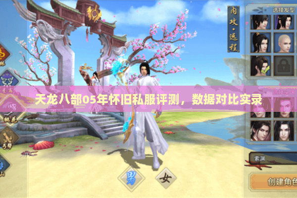 天龙八部05年怀旧私服评测,数据对比实录 天龙八部05年怀旧私服评测,数据对比实录