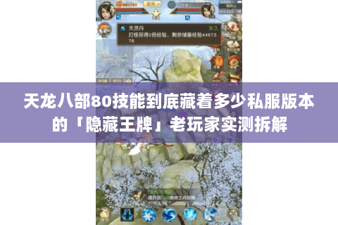 天龙八部80技能到底藏着多少私服版本的「隐藏王牌」老玩家实测拆解 天龙八部80技能到底藏着多少私服版本的「隐藏王牌」老玩家实测拆解