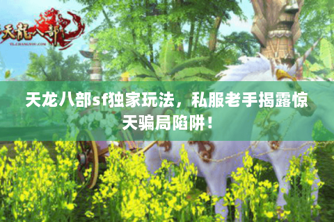 天龙八部sf独家玩法,私服老手揭露惊天骗局陷阱! 天龙八部sf独家玩法,私服老手揭露惊天骗局陷阱!