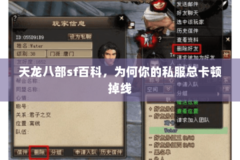 天龙八部sf百科,为何你的私服总卡顿掉线 天龙八部sf百科,为何你的私服总卡顿掉线