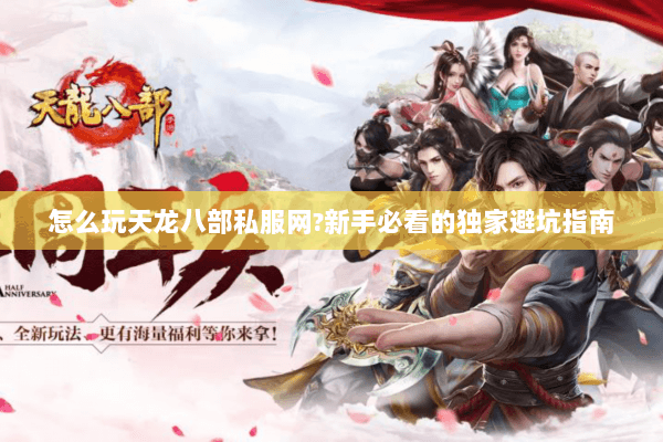怎么玩天龙八部私服网?新手必看的独家避坑指南