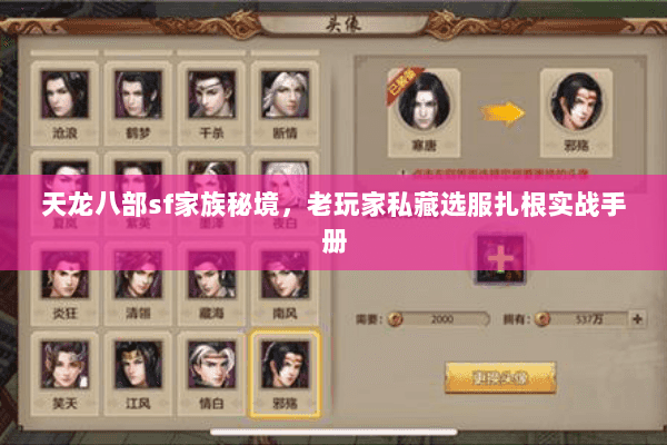 天龙八部sf家族秘境，老玩家私藏选服扎根实战手册