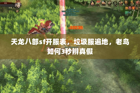 天龙八部sf开服表,垃圾服遍地,老鸟如何3秒辨真假 天龙八部sf开服表,垃圾服遍地,老鸟如何3秒辨真假