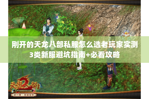 刚开的天龙八部私服怎么选老玩家实测3类新服避坑指南+必看攻略 刚开的天龙八部私服怎么选老玩家实测3类新服避坑指南+必看攻略