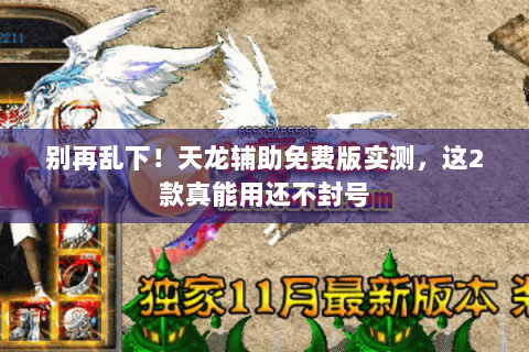 别再乱下!天龙辅助免费版实测,这2款真能用还不封号 别再乱下!天龙辅助免费版实测,这2款真能用还不封号