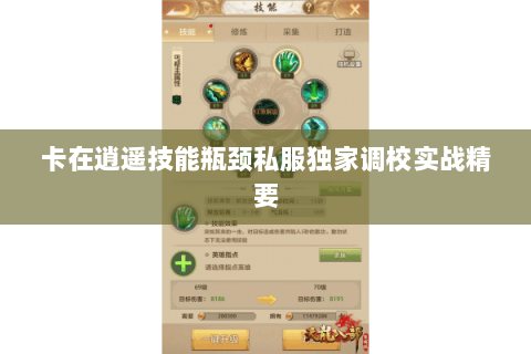 卡在逍遥技能瓶颈私服独家调校实战精要 卡在逍遥技能瓶颈私服独家调校实战精要
