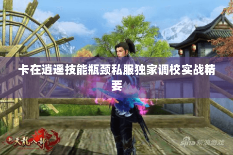卡在逍遥技能瓶颈私服独家调校实战精要 卡在逍遥技能瓶颈私服独家调校实战精要