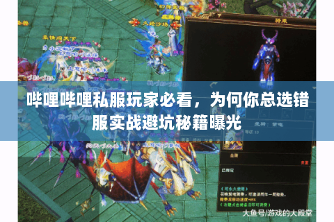 哔哩哔哩私服玩家必看,为何你总选错服实战避坑秘籍曝光 哔哩哔哩私服玩家必看,为何你总选错服实战避坑秘籍曝光