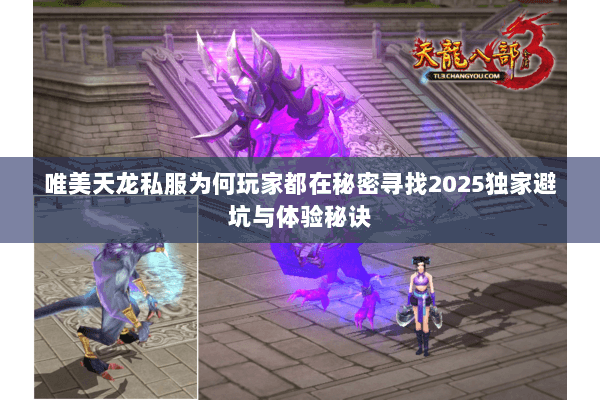 唯美天龙私服为何玩家都在秘密寻找2025独家避坑与体验秘诀 唯美天龙私服为何玩家都在秘密寻找2025独家避坑与体验秘诀