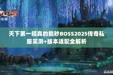天下第一招真的能秒BOSS2025传奇私服实测+版本适配全解析 天下第一招真的能秒BOSS2025传奇私服实测+版本适配全解析