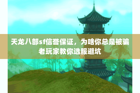 天龙八部sf信誉保证,为啥你总是被骗老玩家教你选服避坑 天龙八部sf信誉保证,为啥你总是被骗老玩家教你选服避坑