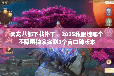 天龙八部下载补丁,2025私服选哪个不踩雷独家实测3个高口碑版本 天龙八部下载补丁,2025私服选哪个不踩雷独家实测3个高口碑版本