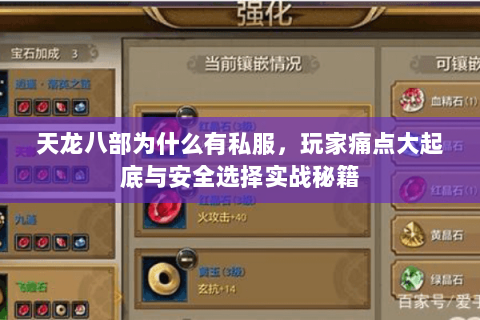 天龙八部为什么有私服,玩家痛点大起底与安全选择实战秘籍 天龙八部为什么有私服,玩家痛点大起底与安全选择实战秘籍