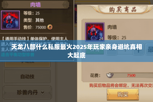 天龙八部什么私服最火2025年玩家亲身避坑真相大起底