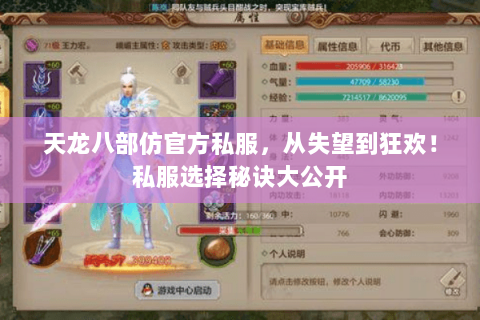 天龙八部仿官方私服，从失望到狂欢！私服选择秘诀大公开