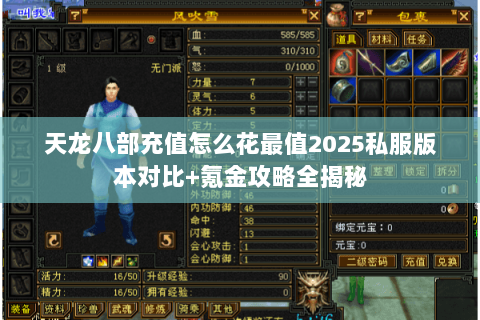 天龙八部充值怎么花最值2025私服版本对比+氪金攻略全揭秘 天龙八部充值怎么花最值2025私服版本对比+氪金攻略全揭秘