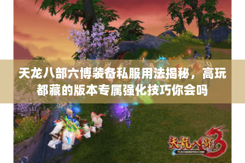 天龙八部六博装备私服用法揭秘,高玩都藏的版本专属强化技巧你会吗 天龙八部六博装备私服用法揭秘,高玩都藏的版本专属强化技巧你会吗