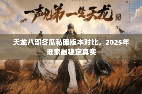 天龙八部冬瓜私服版本对比,2025年谁家最稳定真实 天龙八部冬瓜私服版本对比,2025年谁家最稳定真实