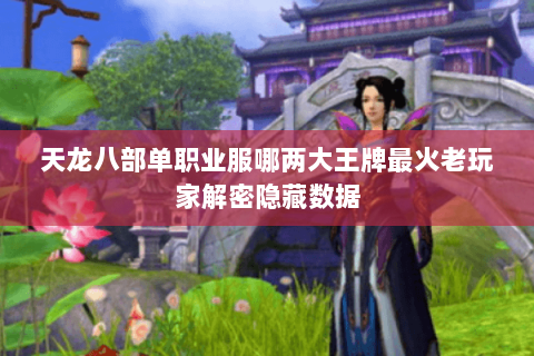 天龙八部单职业服哪两大王牌最火老玩家解密隐藏数据 天龙八部单职业服哪两大王牌最火老玩家解密隐藏数据