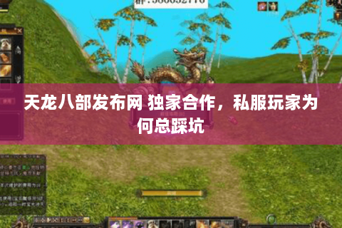 天龙八部发布网 独家合作,私服玩家为何总踩坑 天龙八部发布网 独家合作,私服玩家为何总踩坑