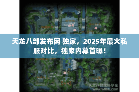 天龙八部发布网 独家,2025年最火私服对比,独家内幕首曝! 天龙八部发布网 独家,2025年最火私服对比,独家内幕首曝!