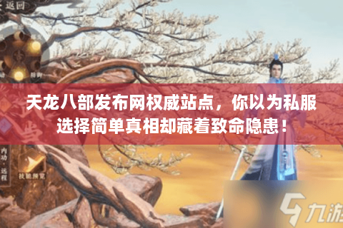 天龙八部发布网权威站点,你以为私服选择简单真相却藏着致命隐患! 天龙八部发布网权威站点,你以为私服选择简单真相却藏着致命隐患!