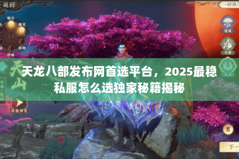 天龙八部发布网首选平台,2025最稳私服怎么选独家秘籍揭秘 天龙八部发布网首选平台,2025最稳私服怎么选独家秘籍揭秘