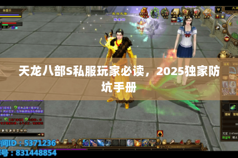 天龙八部S私服玩家必读,2025独家防坑手册 天龙八部S私服玩家必读,2025独家防坑手册