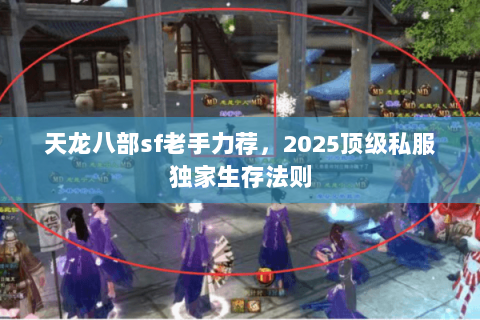天龙八部sf老手力荐,2025顶级私服独家生存法则 天龙八部sf老手力荐,2025顶级私服独家生存法则