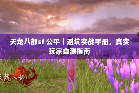 天龙八部sf 公平|避坑实战手册,真实玩家自测指南 天龙八部sf 公平|避坑实战手册,真实玩家自测指南