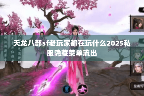 天龙八部sf老玩家都在玩什么2025私服隐藏菜单流出 天龙八部sf老玩家都在玩什么2025私服隐藏菜单流出