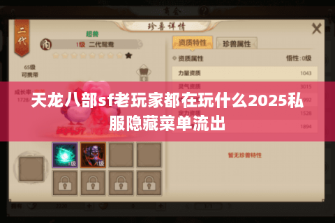 天龙八部sf老玩家都在玩什么2025私服隐藏菜单流出 天龙八部sf老玩家都在玩什么2025私服隐藏菜单流出
