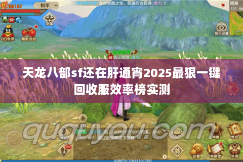 天龙八部sf还在肝通宵2025最狠一键回收服效率榜实测 天龙八部sf还在肝通宵2025最狠一键回收服效率榜实测