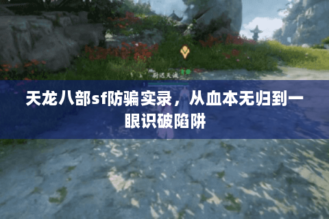 天龙八部sf防骗实录,从血本无归到一眼识破陷阱 天龙八部sf防骗实录,从血本无归到一眼识破陷阱