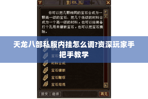 天龙八部私服内挂怎么调?资深玩家手把手教学 天龙八部私服内挂怎么调?资深玩家手把手教学