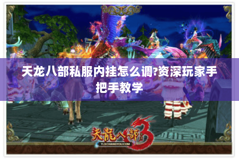 天龙八部私服内挂怎么调?资深玩家手把手教学 天龙八部私服内挂怎么调?资深玩家手把手教学