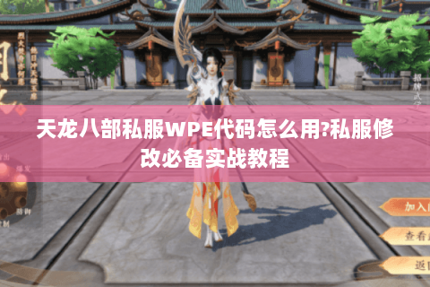 天龙八部私服WPE代码怎么用?私服修改必备实战教程 天龙八部私服WPE代码怎么用?私服修改必备实战教程