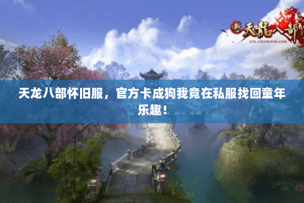 天龙八部怀旧服,官方卡成狗我竟在私服找回童年乐趣! 天龙八部怀旧服,官方卡成狗我竟在私服找回童年乐趣!