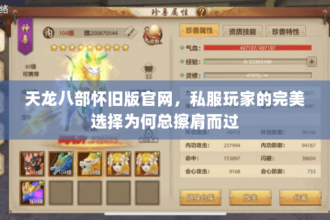 天龙八部怀旧版官网,私服玩家的完美选择为何总擦肩而过 天龙八部怀旧版官网,私服玩家的完美选择为何总擦肩而过