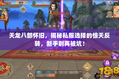 天龙八部怀旧,揭秘私服选择的惊天反转,新手别再被坑! 天龙八部怀旧,揭秘私服选择的惊天反转,新手别再被坑!