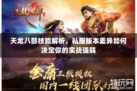 天龙八部技能解析,私服版本差异如何决定你的实战强弱 天龙八部技能解析,私服版本差异如何决定你的实战强弱